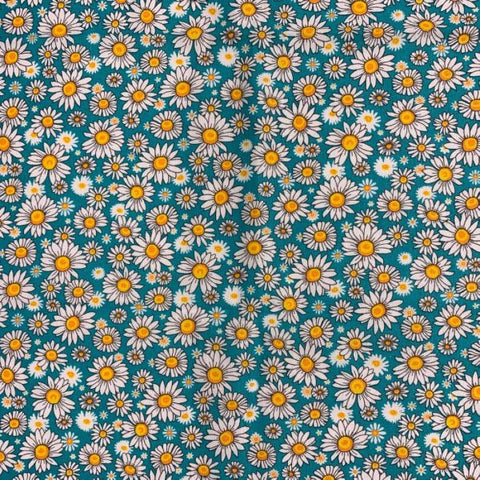 Daisies +