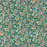 Daisies +