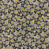 Daisies +